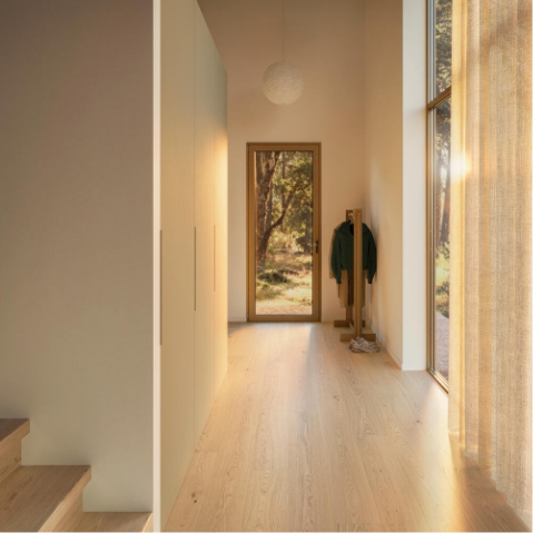 sol_audoise_des_bois_01@2x